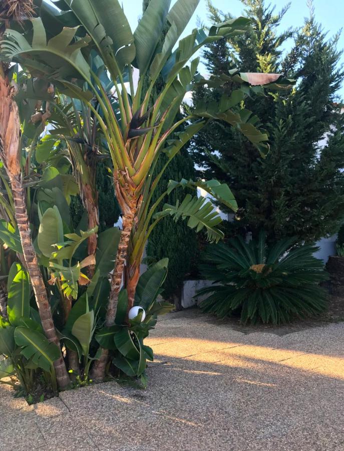 Solar De Sao Joao Aparthotel Albufeira Luaran gambar